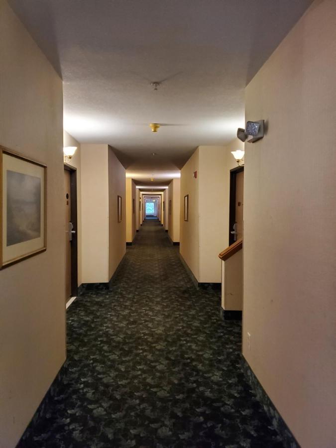 Bellis Inn Bellingham Buitenkant foto